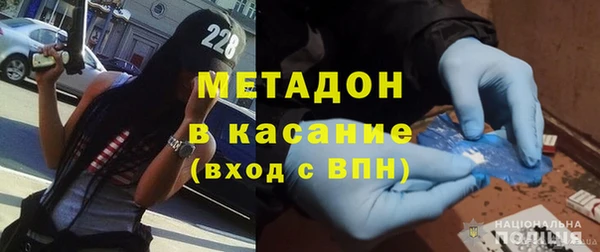индика Няндома