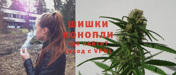 индика Нягань