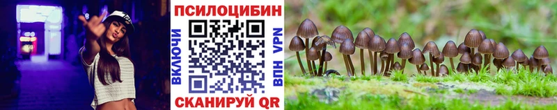 Псилоцибиновые грибы Magic Shrooms  наркота  Бирюч 